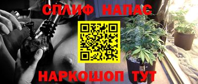 амф Обь