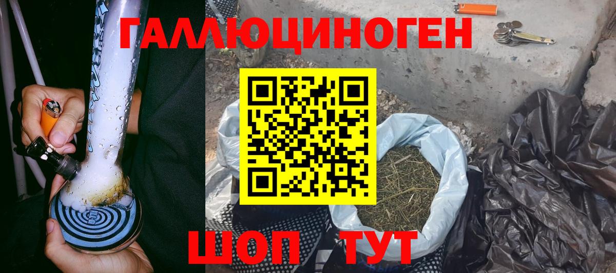 Сосновый Бор  Псилоцибиновые грибы мицелий  Вход с VPN 