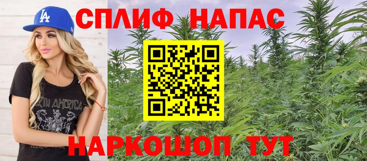 Бошки марихуана план Сосновый Бор